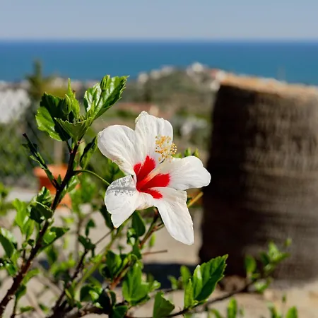 Magnolia House Εξοχικό σπίτι